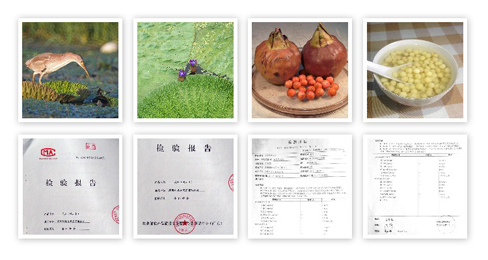 芡實(shí)榮譽(yù)證書(shū)